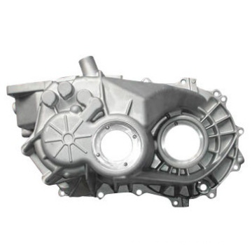 Aluminum Die Casting Auto Side Cover